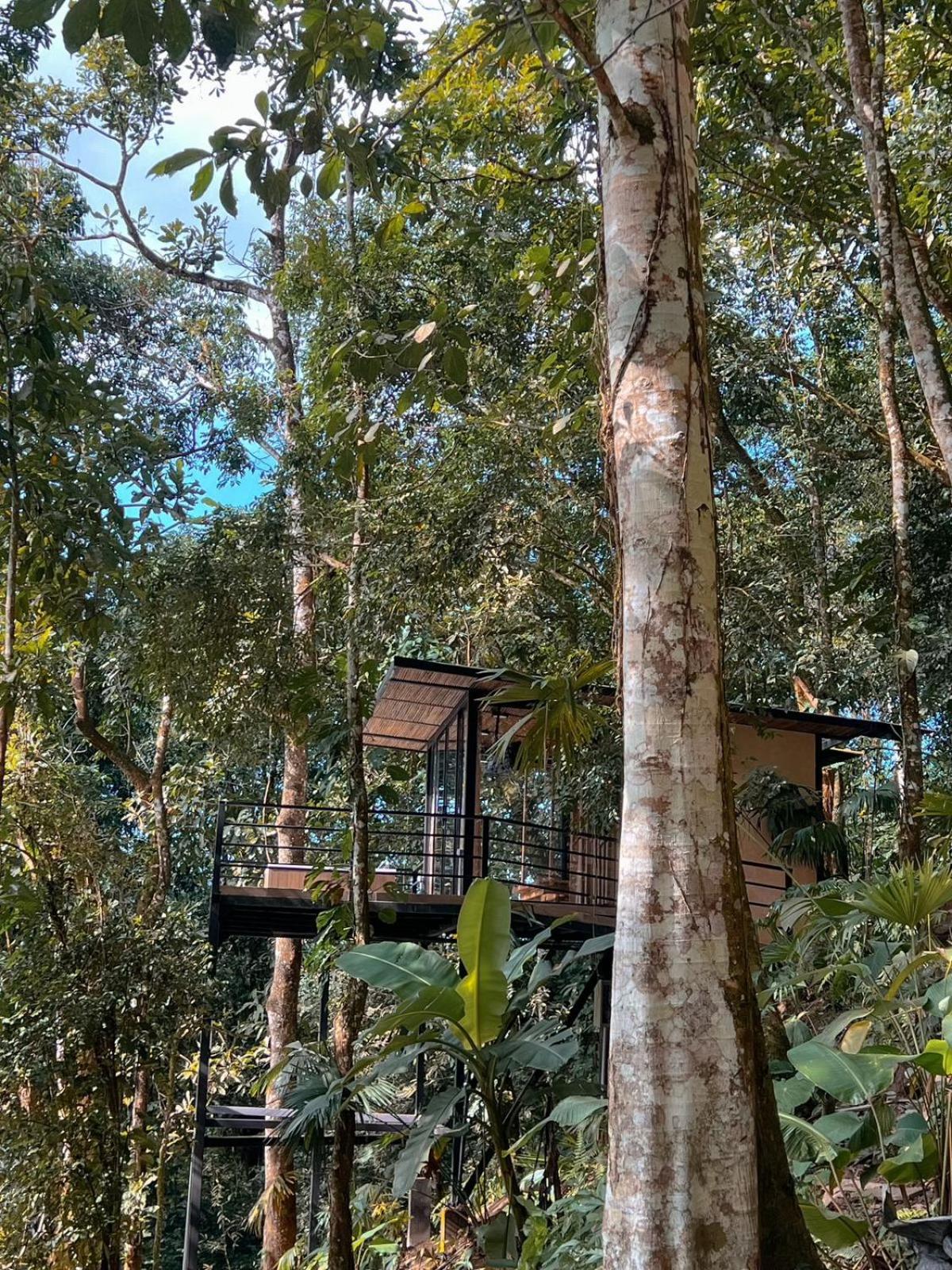Rincon De La Sierra Minca Otel Dış mekan fotoğraf